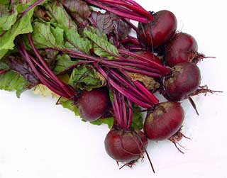 Fresh Beetroot