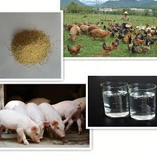 FAMI-QS Consultancy and Certification Services