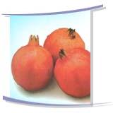 Pomegranate, Usage/Application : Human Consumption