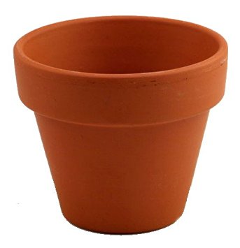 Clay Pot