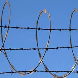 Barbed Wire, Length : 100 Feet