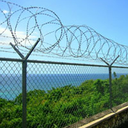 Concertina Wire, Material : Iron, Stainless Steel