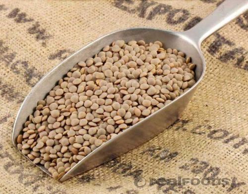 Organic Lentils