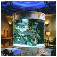 Round Aquarium