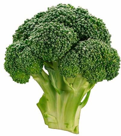 Fresh broccoli, Storage : Refrigerated