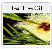 Tea Tree Oil