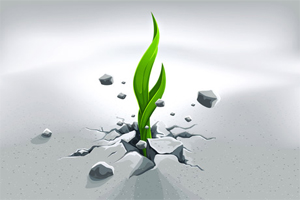 Business Intelligence Services