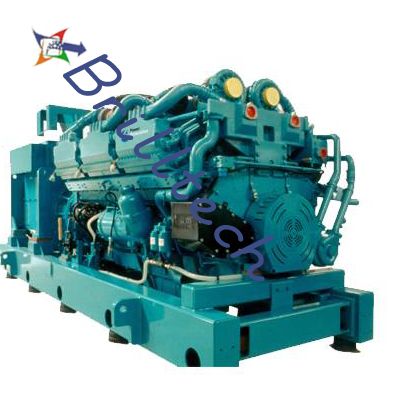 Diesel Generator Set