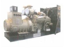 Standard Diesel Genset