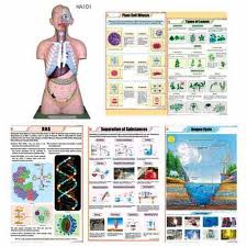 Models Charts Globes