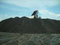 Steam coal