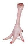 Frozen chicken feet, Boneless : No smell