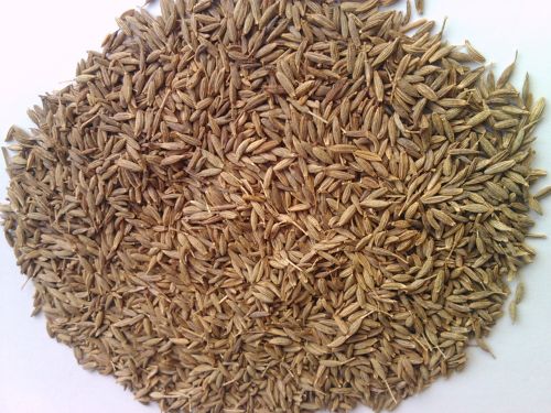 Cumin seeds