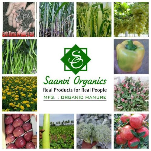 Dr.Green Liquid Fertilizer