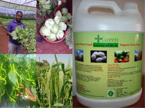 Natural Organic Fertilizer