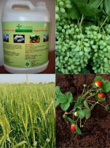 Organic manure, Packaging Type : Plastic Can