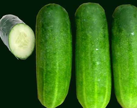 Fresh Cucumber,fresh Cucumber