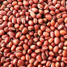 Pigeon Peas Seeds