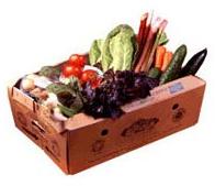 Vegetable Packaging Box