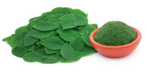 Dried Organic Moringa Leaf Powder