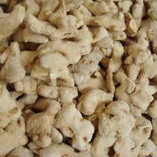 Dried Ginger