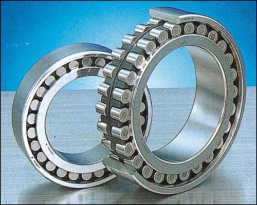 Double Row Cylindrical Roller Bearing