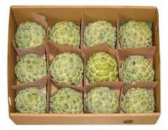 Organic Fresh Custard Apple, Packaging Type : Jute Bag