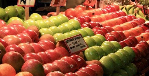 Organic Fresh Washington Apple, Packaging Size : 10kg, 20kg