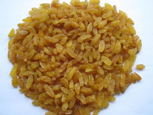 Yellow Raisins