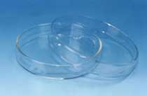 Borosilicate Glass Petri Dish