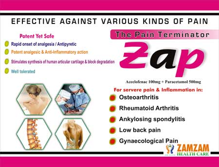 Zap Pain Relief Tablets