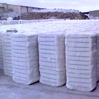 Cotton Bales