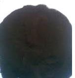 Lignite Powder