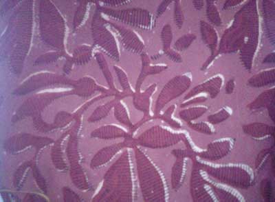 Printed Cotton Fabric : HF-005