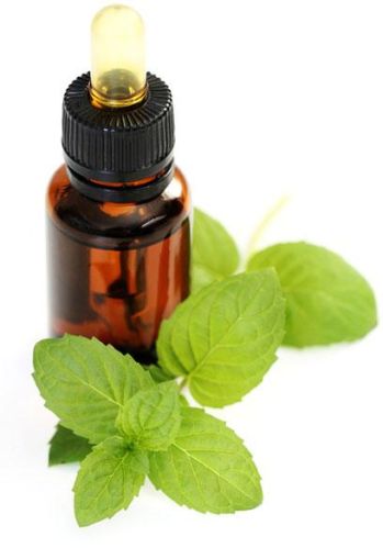 Mint Oil