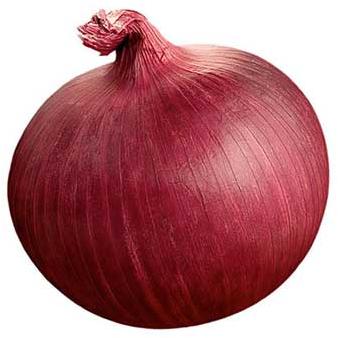 Fresh Red Onion