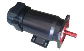 PMDC Motor