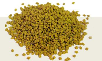 Fenugreek Seed , Shelf Life:1 Year