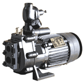 Jet Pumps (Horizontal and Vertical Models.)