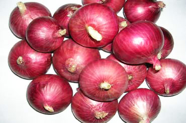 Dark Red Onion