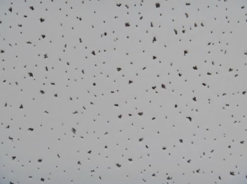 Mineral Fiber Ceiling Board