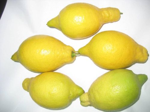 Fresh Lemons