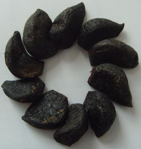 Black Garlic Extract, Packaging Type : Redish Brown