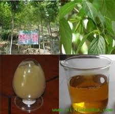 Olive Extract, Packaging Type : yellow brown