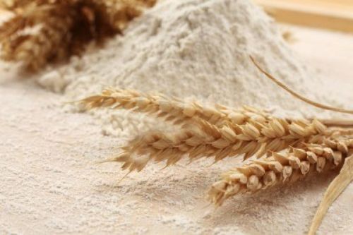 Organic Wheat Flour, Packaging Type : Gunny Bag, Jute Bag, Plastic Bag