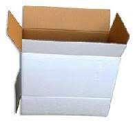 Duplex Board Cartons