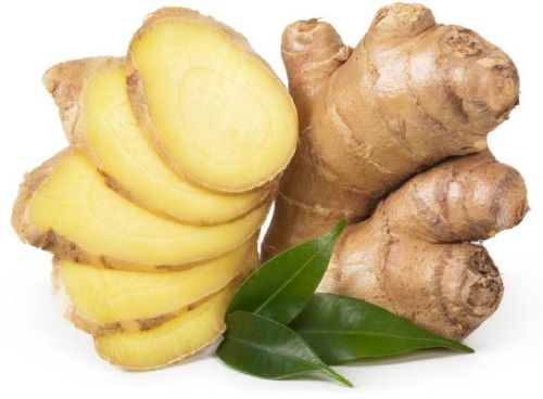 Natural Fresh Organic Ginger