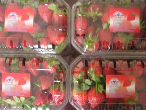 Common fresh strawberry, Brand Name : Global