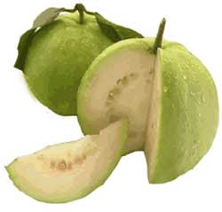 Fresh Guava