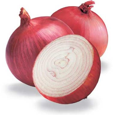 Fresh Onions
